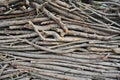 Background with dry branches stacked for fire Royalty Free Stock Photo