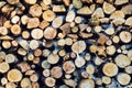 Background of dry chopped firewood logs in a pile oak and pine Royalty Free Stock Photo