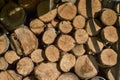 Background of dry chopped firewood logs