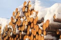 Background of dry chopped firewood logs stacked up on top of each other in a pile with a snow on the tops