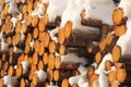 Background of dry chopped firewood logs stacked up on top of each other in a pile with a snow on the tops