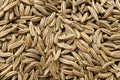 Background from dry cumin seeds, top view. Heap of caraway seeds, macro photography, texture. Pile of caraway seeds as a