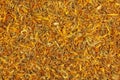 Background of dry herb CALENDULAE FLORES or Marigold petals used in herbal medicine. The concept of herbal treatment. Active