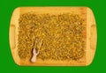 Background of dry herb CALENDULAE FLORES or Marigold petals used in herbal medicine. The concept of herbal treatment. Active