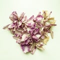 Background from dry leaves of an orchid folded in the shape of a heart. Selective focus. Royalty Free Stock Photo