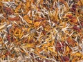 Background of dry Marigold petals. Closeup. Royalty Free Stock Photo