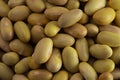 Background of Dry Mayocoba Beans Royalty Free Stock Photo