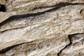 Background of dry parched and cracked soil of the earth Royalty Free Stock Photo