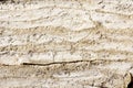 Background of dry parched and cracked soil of the earth Royalty Free Stock Photo