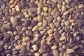 Background with dry round stones Royalty Free Stock Photo