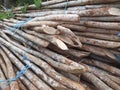 Background of dry tropical wood logs stacked and tied with blue rope. The lumbers of the bamboo, nature background Royalty Free Stock Photo