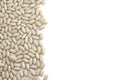 Background of dry white beans Royalty Free Stock Photo