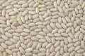 Background of dry white beans Royalty Free Stock Photo