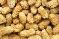 Background of dry white mulberries Royalty Free Stock Photo
