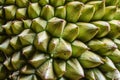 Background of durian fruit thorns Royalty Free Stock Photo