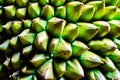 Background of durian fruit thorns. Royalty Free Stock Photo