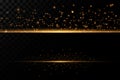 Background of dust particles with light, bright flashes of stars on a transparent background Royalty Free Stock Photo