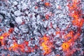 Ember and White Campfire Ash Royalty Free Stock Photo