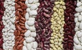 Background of eight varieties of beans