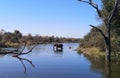 Background with elephant and lake in Sudafrica Royalty Free Stock Photo