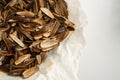 Background empty Sunflower seed shells Royalty Free Stock Photo
