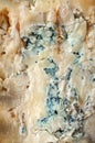 Background of English Stilton cheese texture with blue mold. A piece of Stilton blue cheese Royalty Free Stock Photo