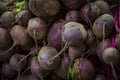 Background of environmentally friendly beets of GMOs on the market