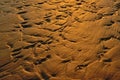 Erosion patterns in wet sand in the evening sunlight