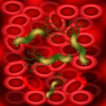 Background of erythrocytes. Helicobacter pylori infection of the blood. Vector illustration Royalty Free Stock Photo