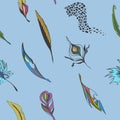 Background with feathers