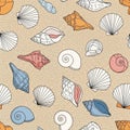 Background. Features a variety of conch spiral and scallop shells with Royalty Free Stock Photo