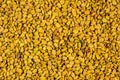 Background of the fenugreek seeds methi dana, helba or shambala Royalty Free Stock Photo