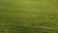 Background field green view high pond agriculture landscape far grass grain park