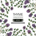 Background filled with twig of thyme with leaves and flowers and with empty circle inside