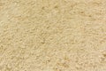 Background of fine river sand. Sand texture