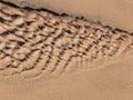 Background from fine and wet sand, sand textures Royalty Free Stock Photo