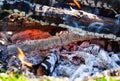 Background of fireplace with gloving embers. Close up view on smouldering fire. Embers burning with red flame. Texture of ash and Royalty Free Stock Photo