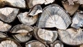 Background of an firewood dry and rough, cut in small pieces. Royalty Free Stock Photo