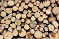 Background of firewood stacked in the woodpile Royalty Free Stock Photo