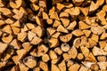 Background of firewood texture
