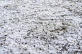 Background with the first snow falling on the green grass and footprints in the snow from boots cold weather Selective focus. Royalty Free Stock Photo