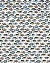 Background fishing pattern with a pan fish collage