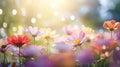 background floral bokeh outdoor soft