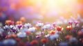 background floral bokeh outdoor soft