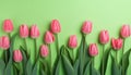 Blossom green floral pink flora flowers spring bouquet nature tulip Royalty Free Stock Photo