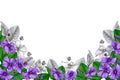 Background.Floral frame of African violets. Hand drawn watercolor and graphics.