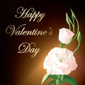 Background with flower eustoma - vector greeting card happy Valentine Day Royalty Free Stock Photo