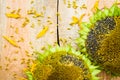 Background flower sunflower seeds wooden countertop Royalty Free Stock Photo