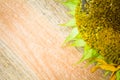 Background flower sunflower seeds wooden countertop Royalty Free Stock Photo