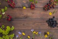 Background with flowers & blackberries